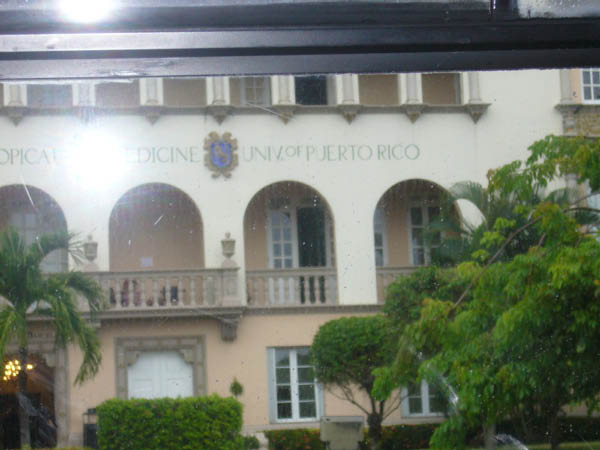 P1010731