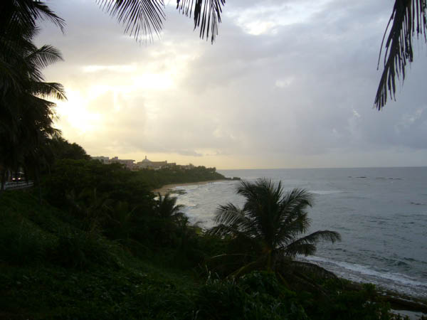 P1010733