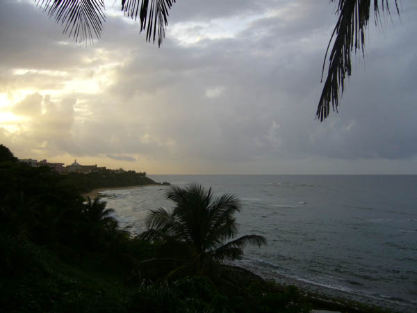 P1010737